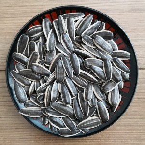 Professional China White And Black Sunflower Seeds - Sunflower Seeds 363 – GXY FOOD