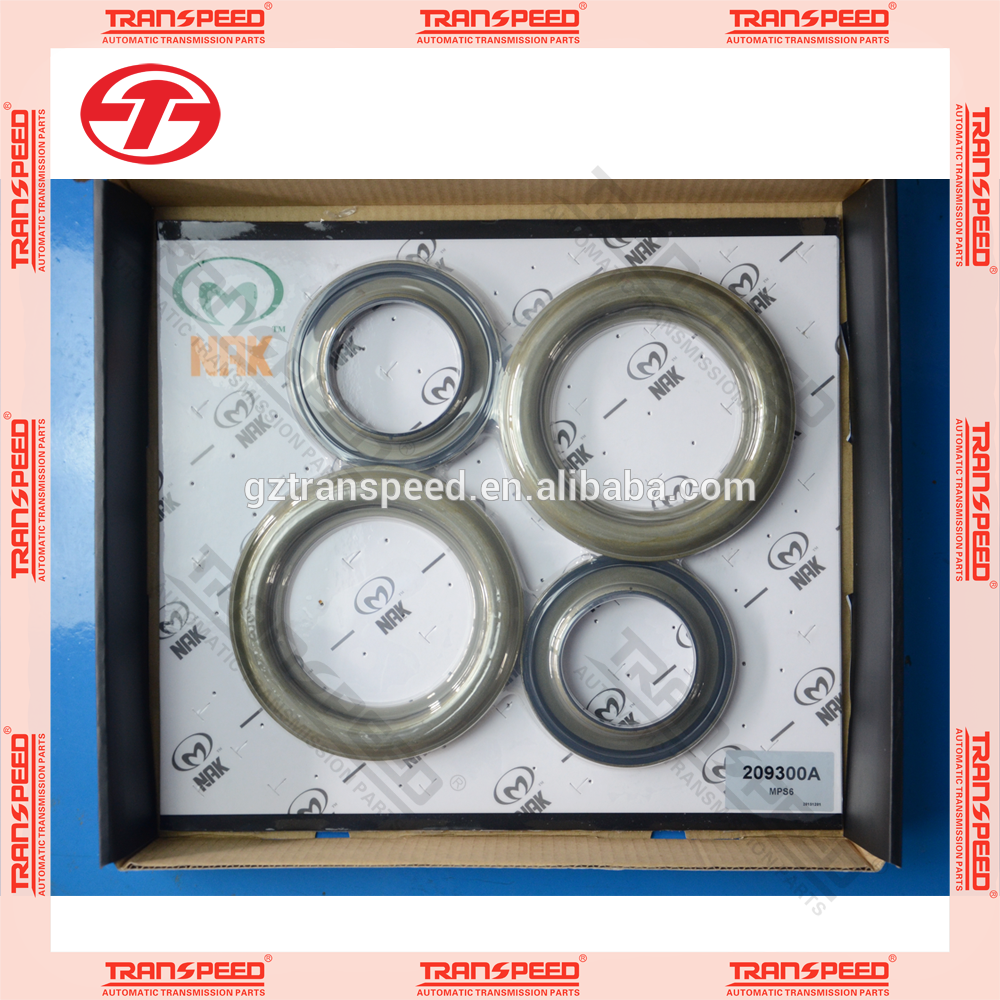 MPS6 piston kit 209300A.png