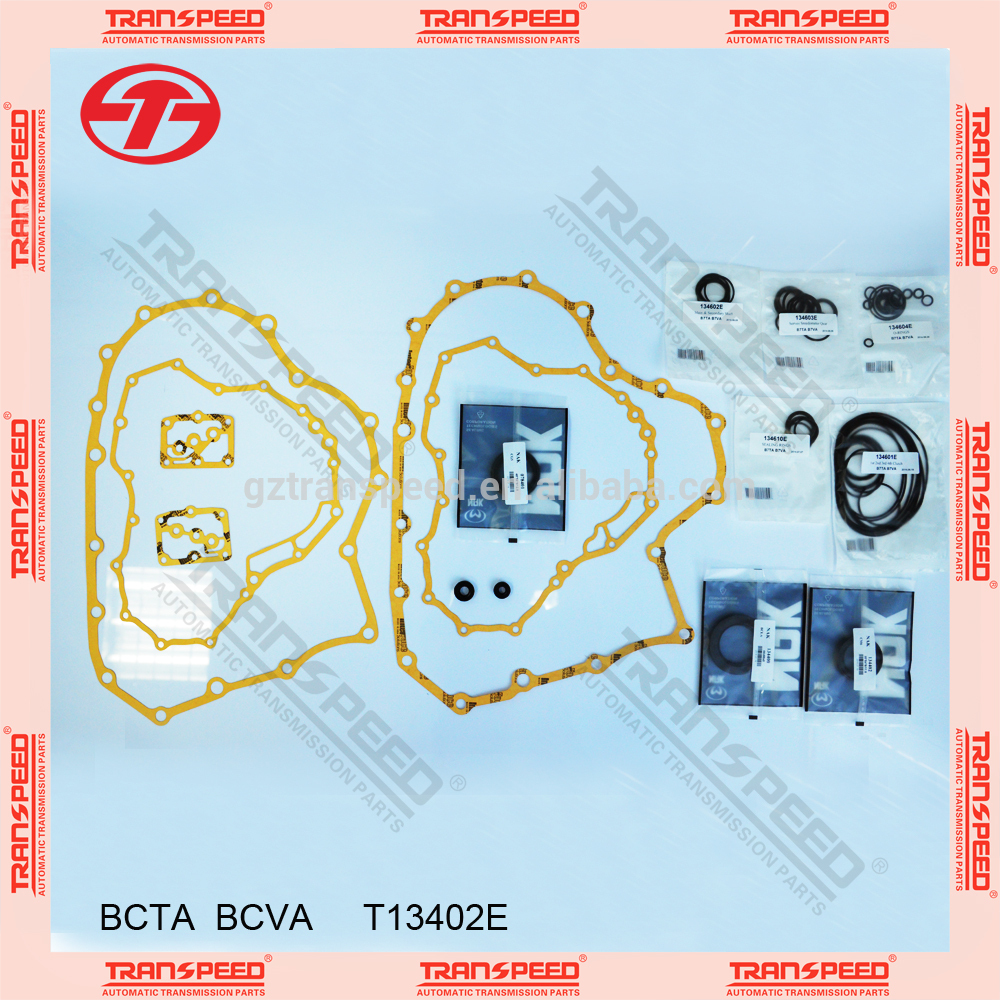 BCTA  BCVA     T13402E overhaul kit.jpg