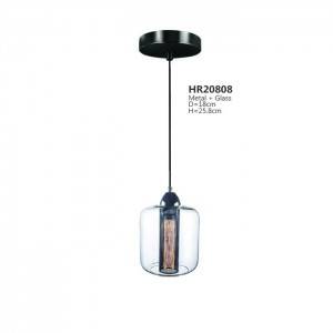 Factory made hot-sale Glass Globe Pendant Lamp - Pandent Light  HR20808 – HANNORLUX