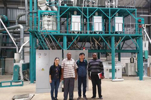 6. 50t maize mill plant