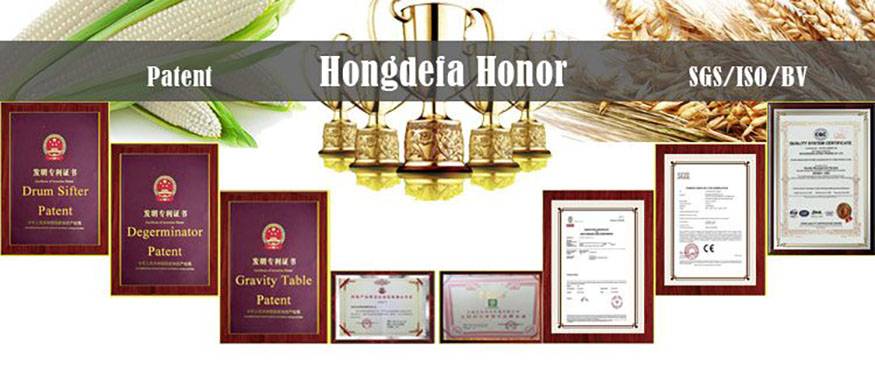 8-certificate