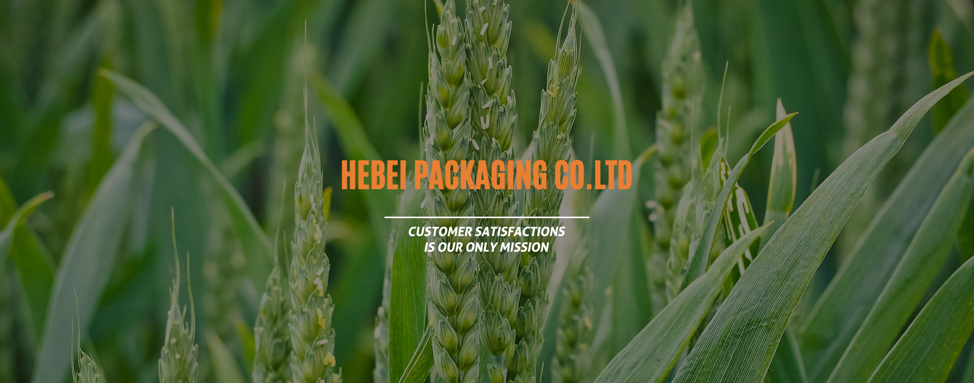 Compound packaging products  industry famous enterprises