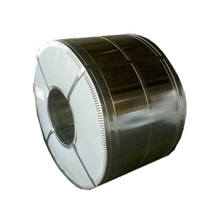 SGCC Sgch Prepainted Galvanized Steel Coil for Roofing Use