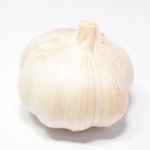 Garlic Extract
