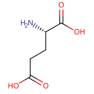 L-Glutamic Acid Base 