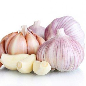 Garlic Caphula 