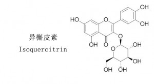 Isoquercétine