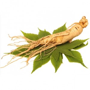 Ginseng blad extract
