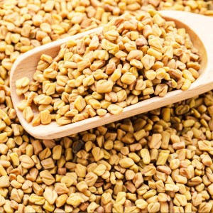 Extract ng Fenugreek Seed