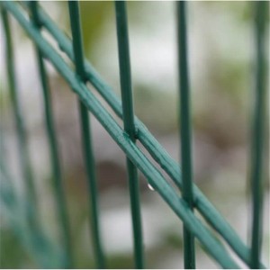 Double wire fence