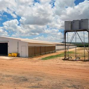 Prefabricated Steel Structure Poultry House Chicken Farm Shed