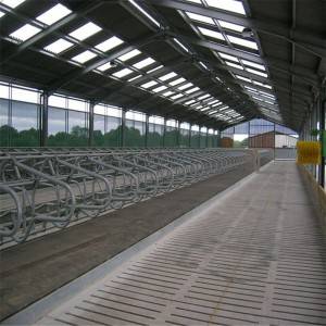 Steel Structure Space Frame Poultry Shed Cow Shed Farm Building