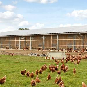 Broiler Poultry Farm House Design
