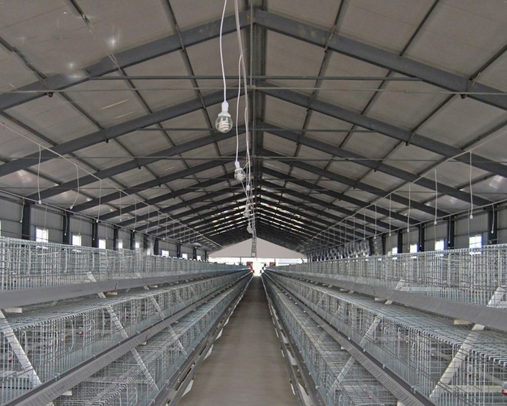 Cheap new design light prefab steel structure chicken house poultry farm building for sale Featured Image