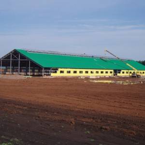 Prefab Factory steel frame structure building