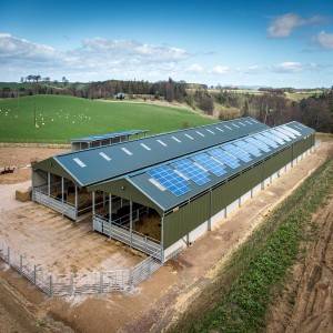 Prefabricated Steel Structure hangar Poultry House Chicken Agriculture