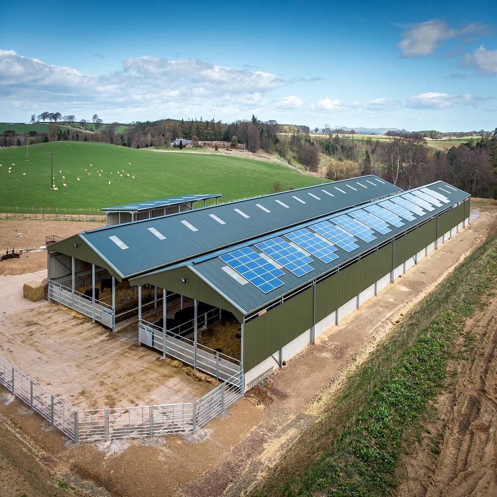 Prefabricated Steel Structure Poultry House Chicken Farm Shed Featured Image