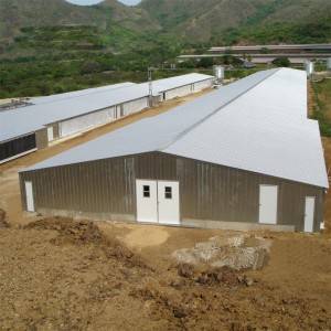 Professional design modular automatic control chicken poultry shed