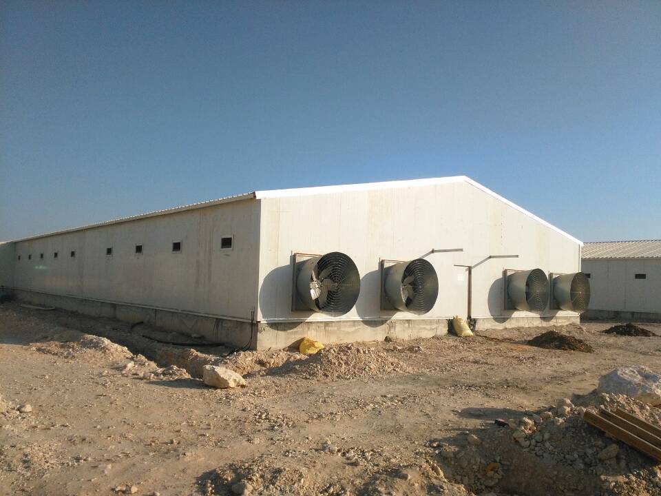 Poultry Shed Farm building prefabricated housing steel structure Chicken House Featured Image