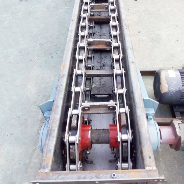 GBL Flat Chain Conveyor for Filling Machine Featured Image