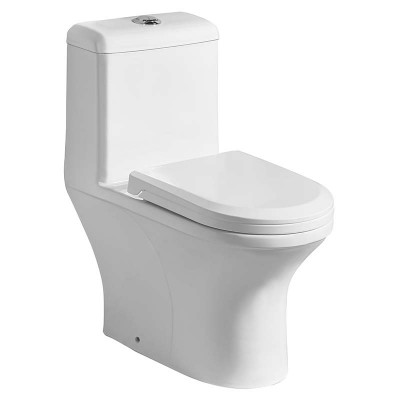 Water-efficient 1-piece Dual Flush Bathroom Fancy Toilet , Manufacturers