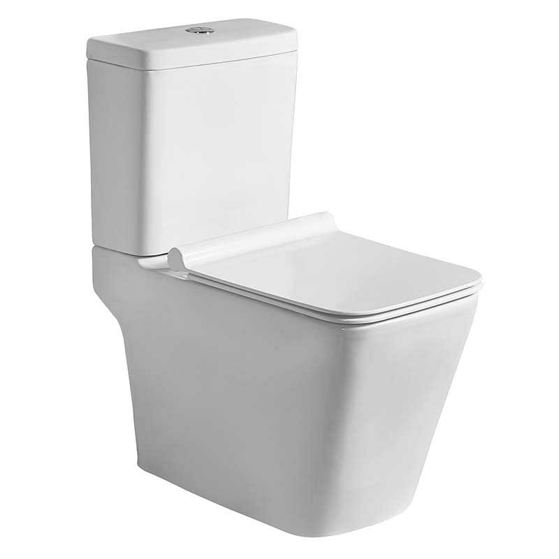 Power Dual Flush Front Rectangle Bathroom Toilet (P-trap or S-trap Rough-in)