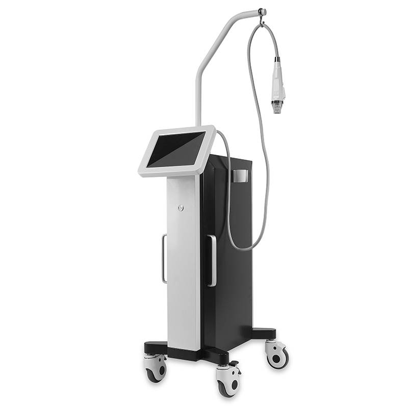 Leading Manufacturer for Shr Ipl Permanent Hair Removal - VERTICAL TYPE – Hondee