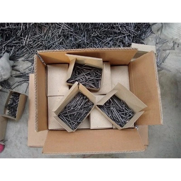 OEM/ODM China Small Coil Pvc Coated Iron Wire - Common nails – Huaxin detail pictures