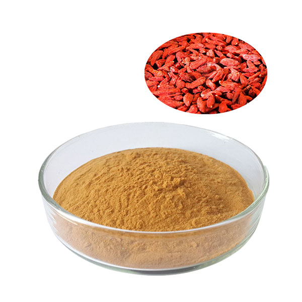 Organic-lycium-barbarum-polysaccharide-goji-berry-powder