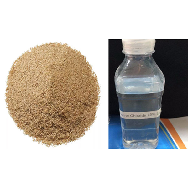 Factory best selling Food Pure Aspartame Powder - Choline Chloride 60% 75% – Hugestone Enterprise