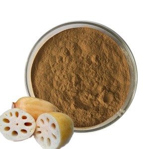 Top Quality Dextrose Monohydrate Food Grade - Lotus Extract – Hugestone Enterprise