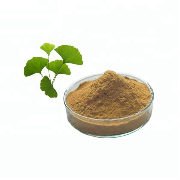 OEM Customized Sorbitol 50-70-4 - Ginkgo Biloba Extract – Hugestone Enterprise