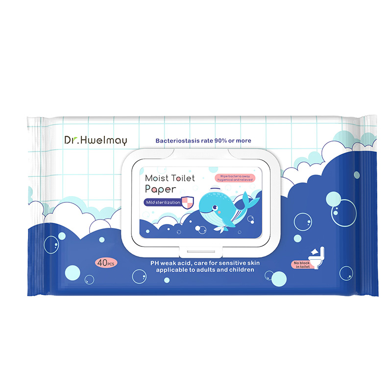 Low price for Toilet Cleaning Wipes - Hot sale Mosit toilet Flushable wipes – Dr.Hwelmay