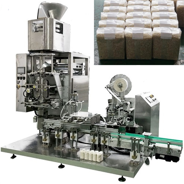 brick bag packing machine with top labeling