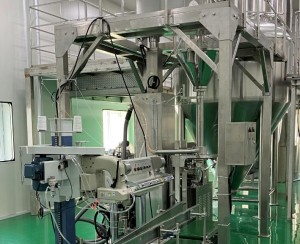 Fully automatic 25kg lithium manganate powder packaging machine helps realize automation of new energy resources packaging