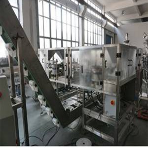 Domestic Project of Fittings Vertical Sachet Counting Packing Machine