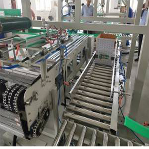 pick up and place robotic case packing machine