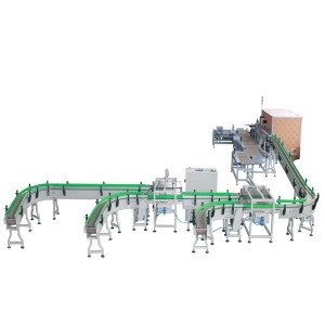 Automatic Side load case packer Robotic Loaders with Tray Loading