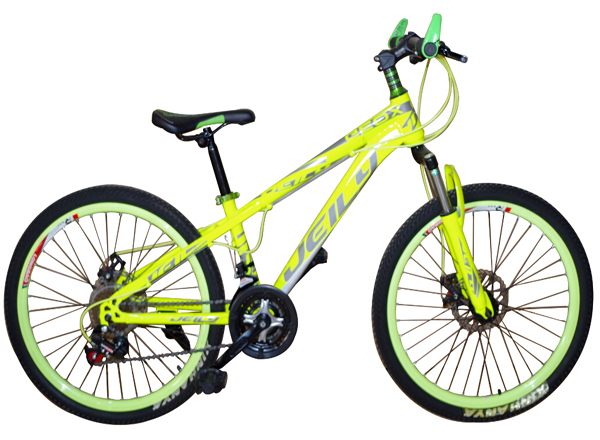 20 Inch Mountain Bike with Steel Frame