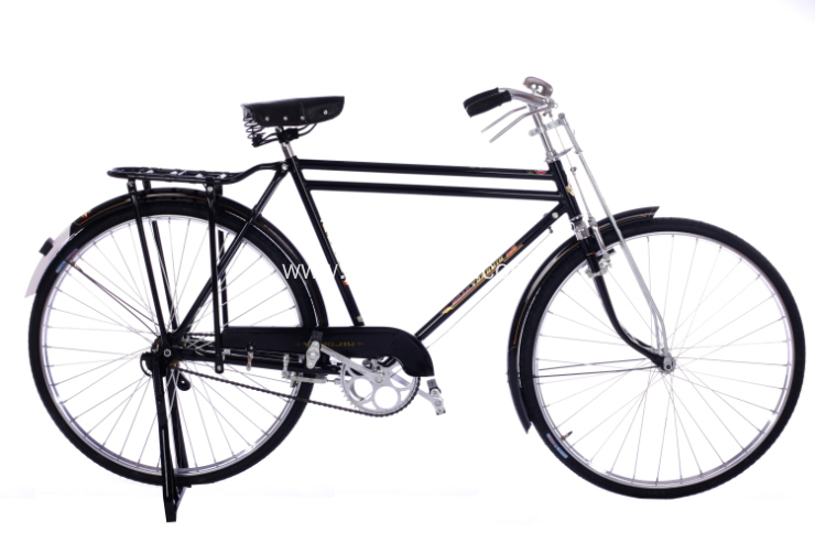 Classic Bike Vintage Bike Lady Bike
