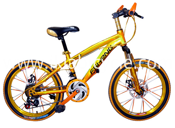 12 Inch Smart Folding Bicycle for Adult