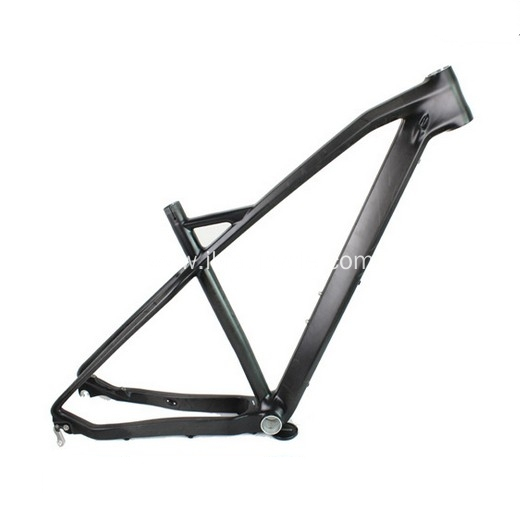 Carbon Time Trial Bicycle Frame