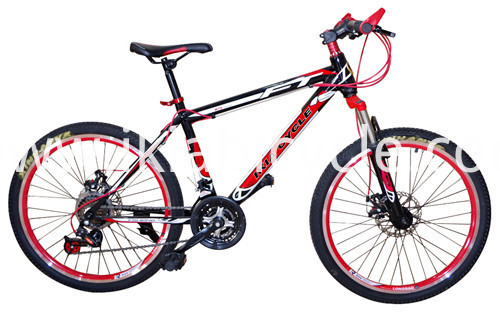 Adult Bicycle 26er*17Inch Mountain Bicycle