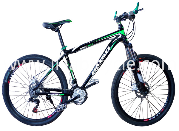 20 Inch Mountain Bike with Steel Frame