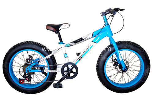 Alloy Frame Mountain Bike with Fat Tire