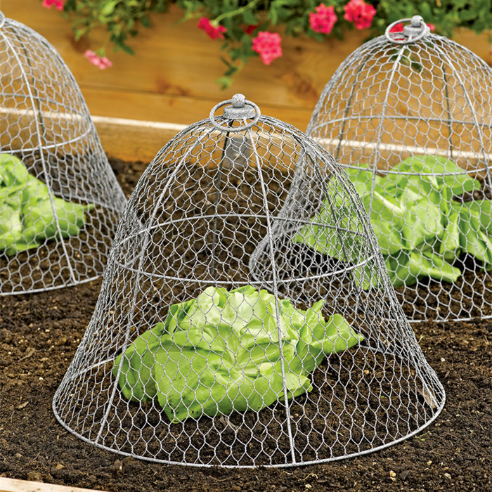 China Supplier Chicken Mesh Cage - Protect Covers Made By Hexagonal Wire Netting – Fuhai