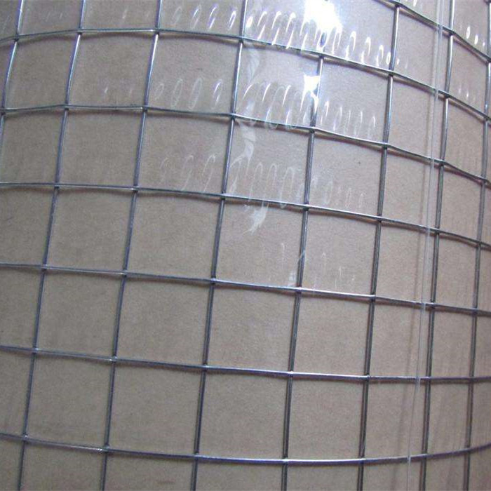 OEM Factory for Welded Wire Mesh 50mm X 50mm - 1” x 1”Galvanized Welded Wire Mesh Rolls – Fuhai