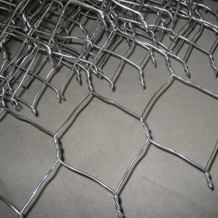 Reasonable price Gabion Mesh - 1mx50m Hot Dipped Galvanized Hexagonal Wire Netting – Fuhai