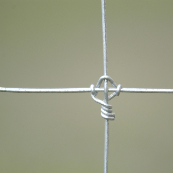 8 Year Exporter Electro Galvanized Barbed Wire - Fixed Knot Galvanized Kraal Network – Fuhai